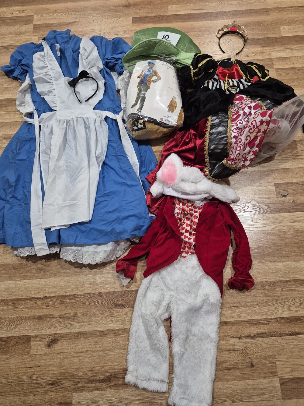 Alice In Wonderland Family Costumes